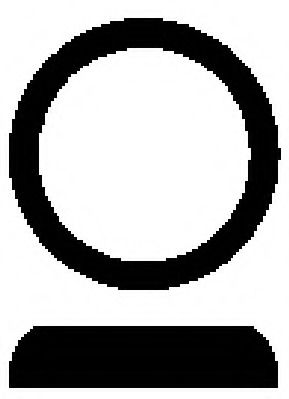 Garnitura racord evacuare