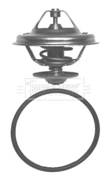 Termostat lichid racire