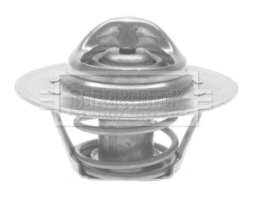 Termostat lichid racire