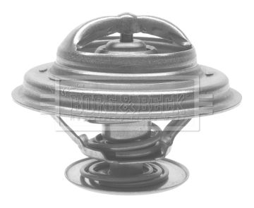 Termostat lichid racire