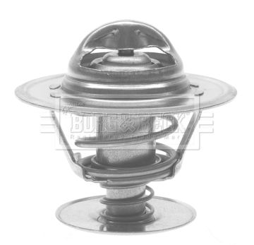 Termostat lichid racire