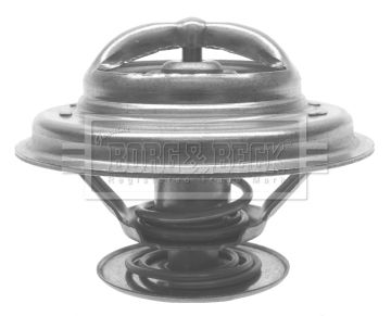 Termostat lichid racire