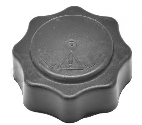 Buson vas expansiune