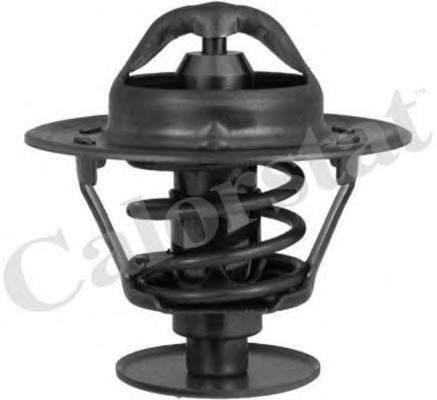 Termostat lichid racire