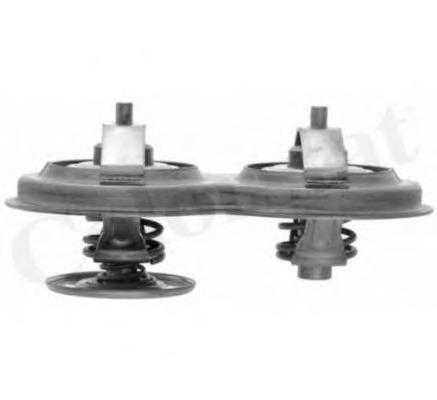 Termostat lichid racire