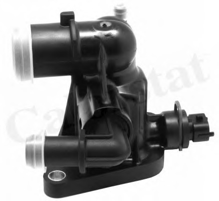 Termostat lichid racire