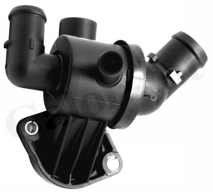 Termostat lichid racire