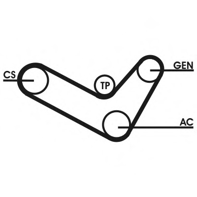 Set curea transmisie cu caneluri