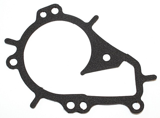 Garnitura pompa de apa