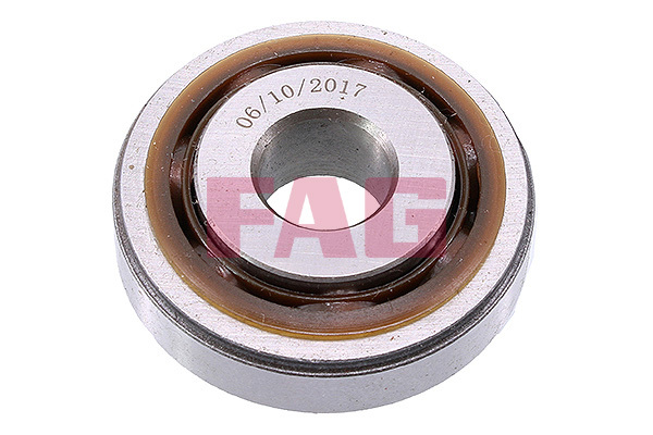 Rulment sarcina amortizor