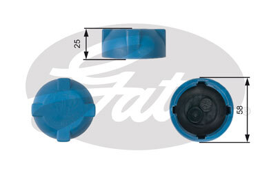 Buson vas expansiune