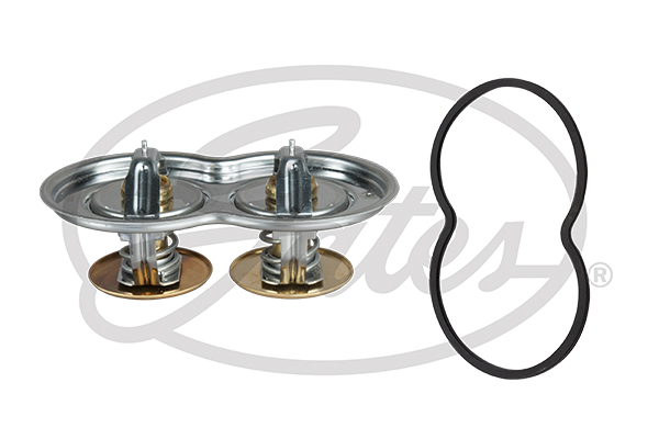 Termostat lichid racire