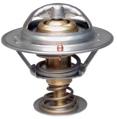 Termostat lichid racire