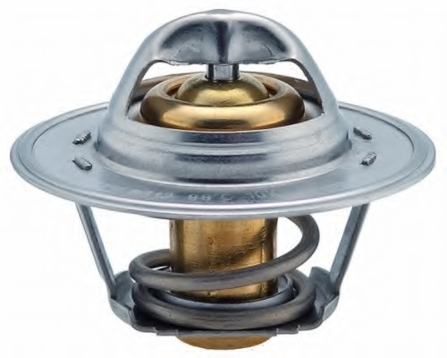 Termostat lichid racire