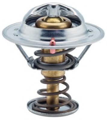 Termostat lichid racire