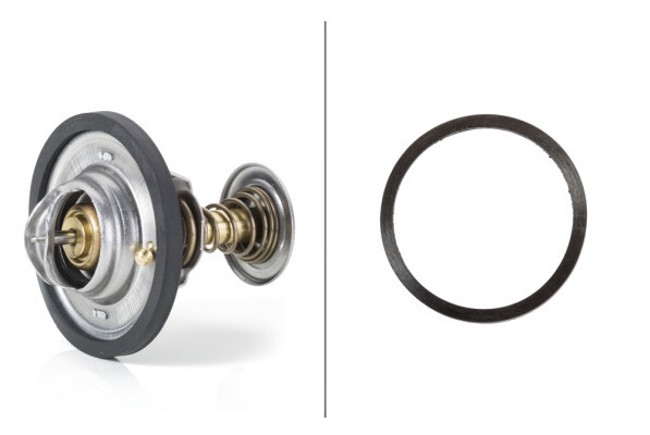 Termostat lichid racire