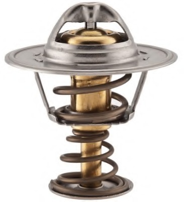 Termostat lichid racire