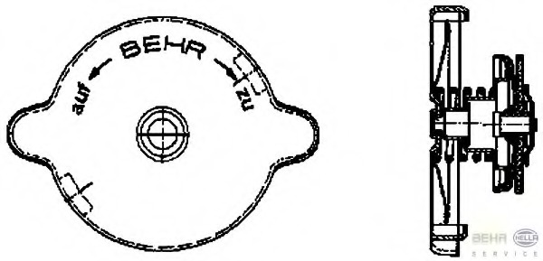 Buson vas expansiune