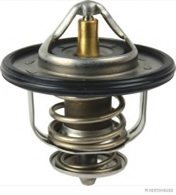 Termostat lichid racire