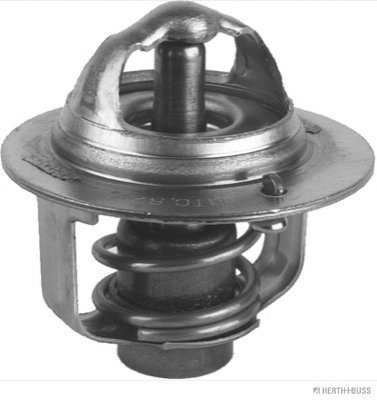 Termostat lichid racire