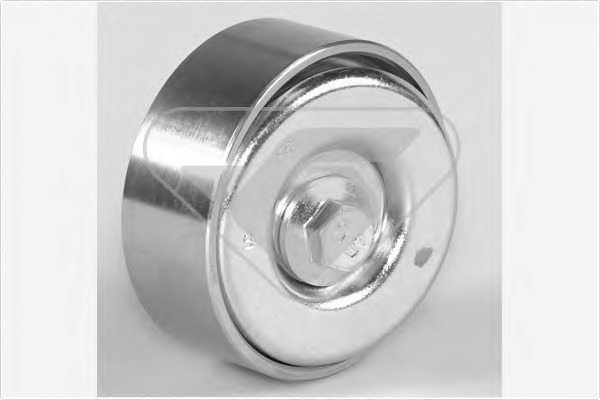 Rola ghidare / conducere curea transmisie