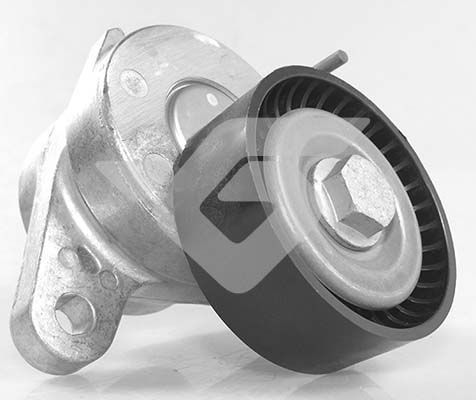 Rola intinzator curea transmisie