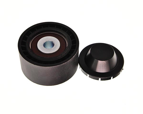 Rola ghidare / conducere curea transmisie