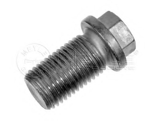 Surub de golire baia de ulei