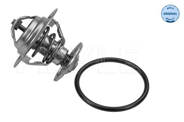 Termostat lichid racire