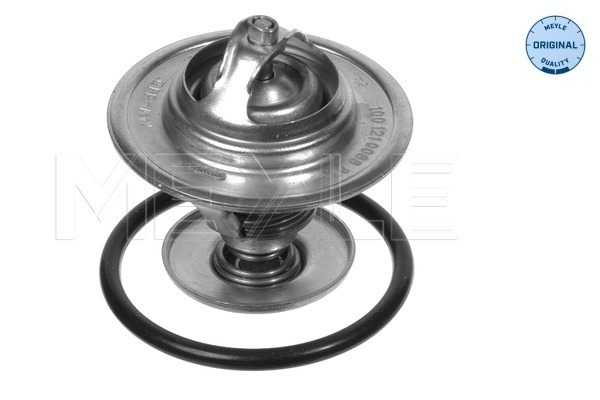 Termostat lichid racire