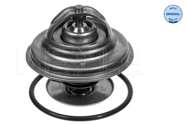 Termostat lichid racire