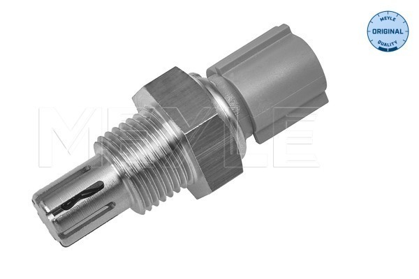 Senzor temperatura aer admisie