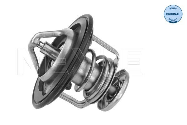 Termostat lichid racire