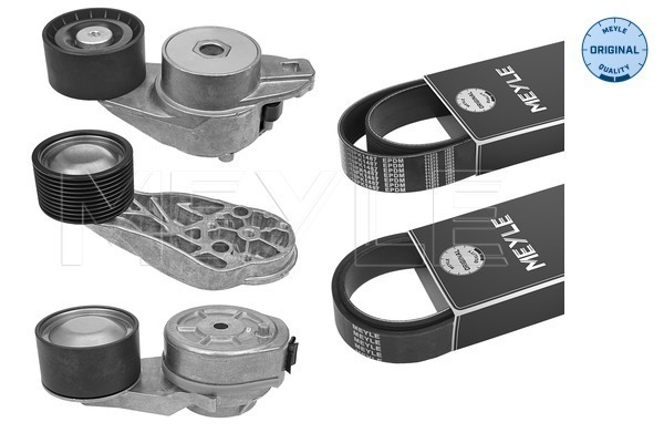 Set curea transmisie cu caneluri