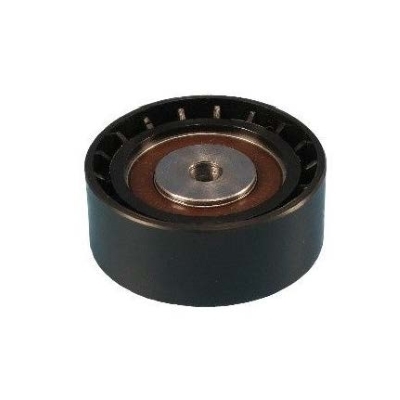 Rola ghidare / conducere curea transmisie