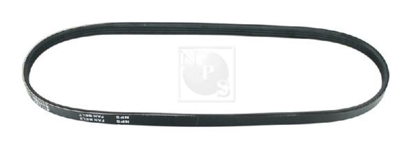 Curea transmisie cu caneluri