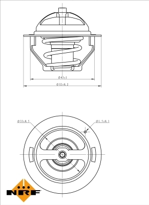 Termostat lichid racire