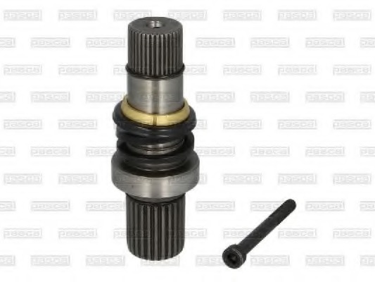 Articulatie planetara