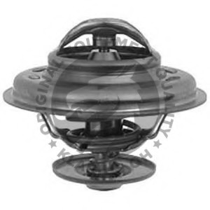 Termostat lichid racire