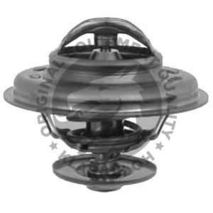 Termostat lichid racire