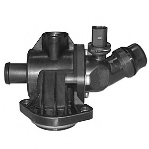 Termostat lichid racire