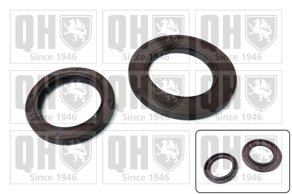 Set garnituri carter