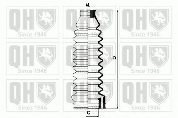 Ansamblu burduf directie