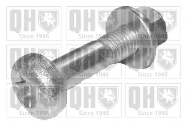 Surub clema articulatie sarcina / ghidare