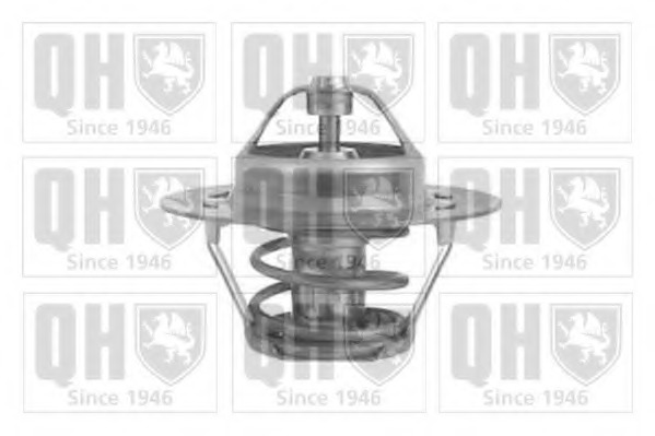 Termostat lichid racire