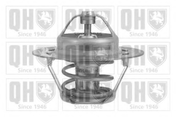 Termostat lichid racire