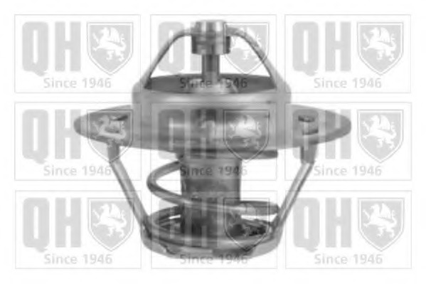 Termostat lichid racire