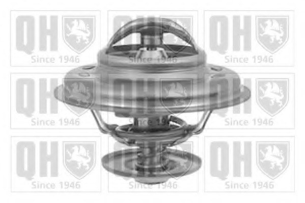 Termostat lichid racire