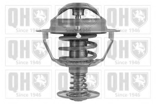 Termostat lichid racire