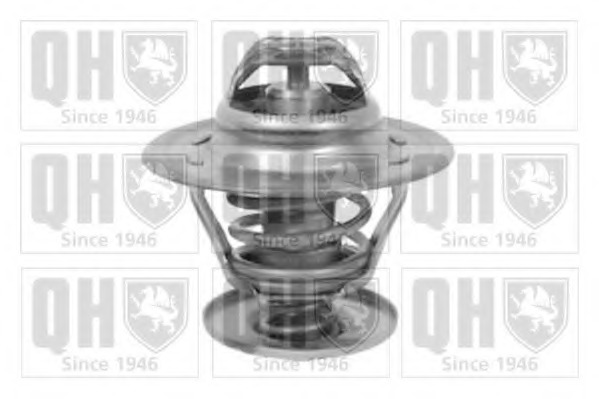 Termostat lichid racire